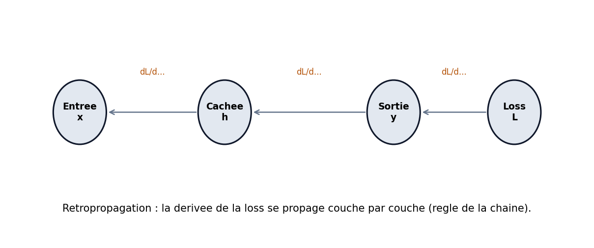 Chaines de cercles relies par fleches illustrant la retropropagation